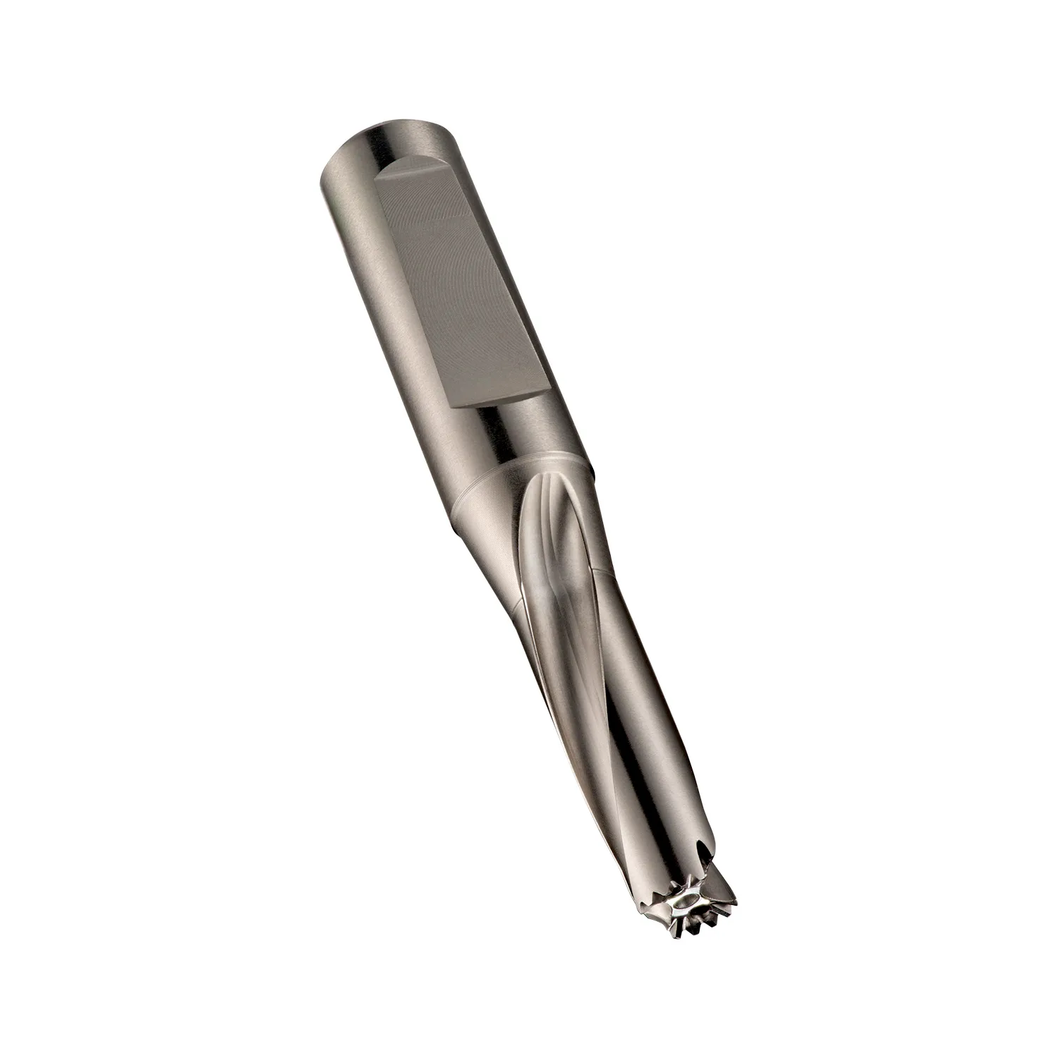 [H8531/2] H853 Corps HYDRA 3XD, avec arrosage centralisé, nickelage brillant (1/2)