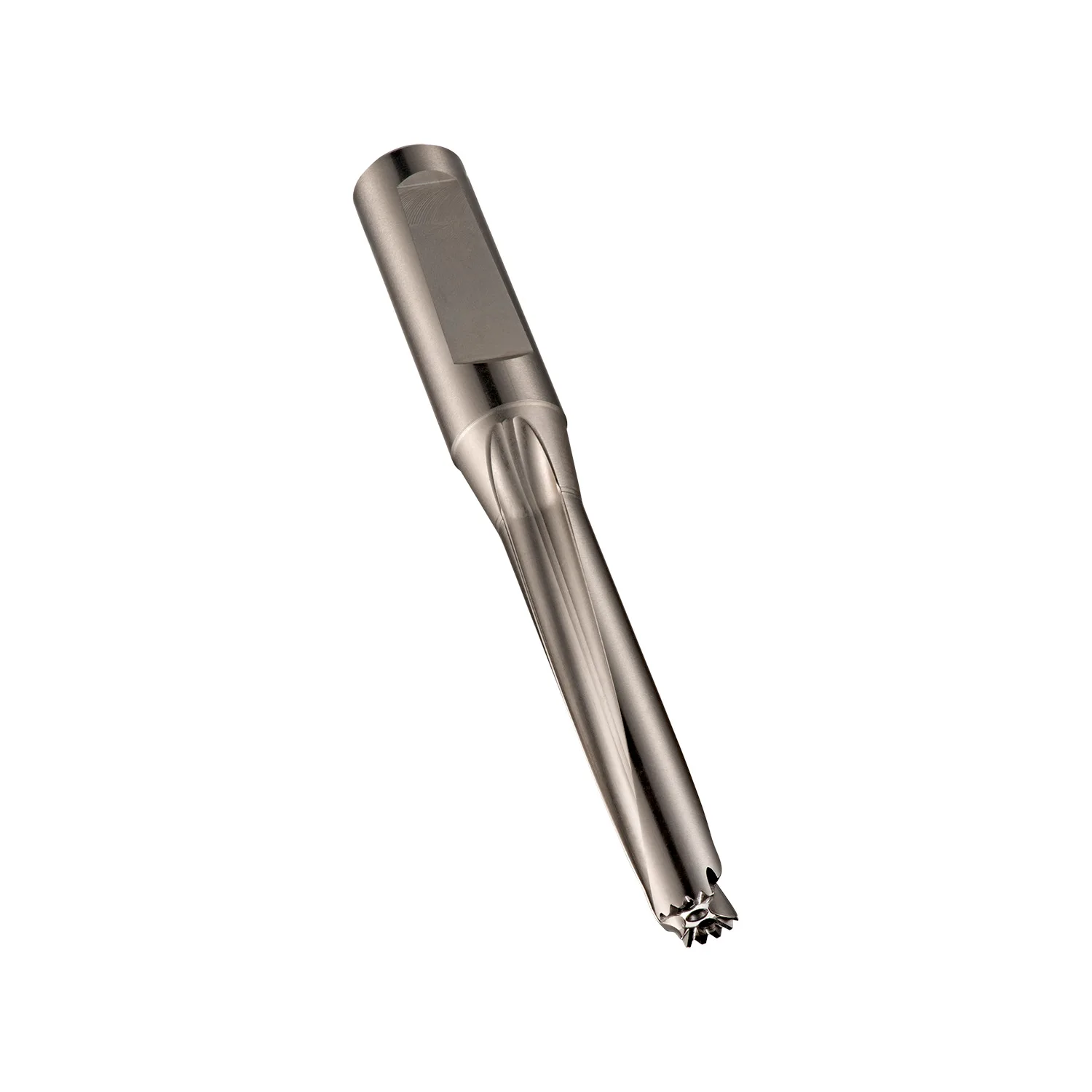 [H8551/2] H855 Corps HYDRA 5XD, avec arrosage centralisé, nickelage brillant (1/2)
