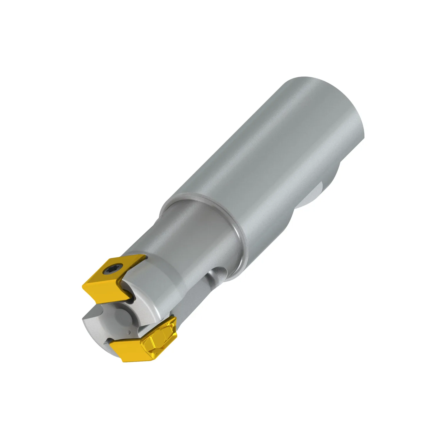 [100A2R165W100-ISLN12X-C] ISLN12X PROD LN12 90° Tangentiële hoekfrees met inwendige koeling (100A2R165W100-ISLN12X-C)